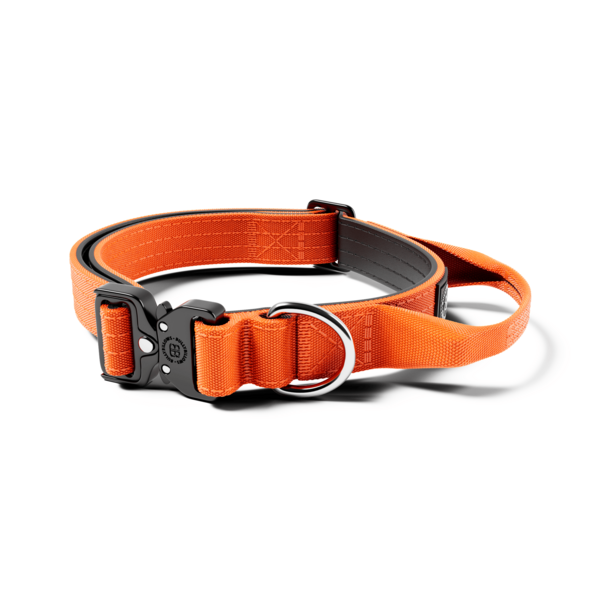 Combat Collar With Handle And Rated Clip