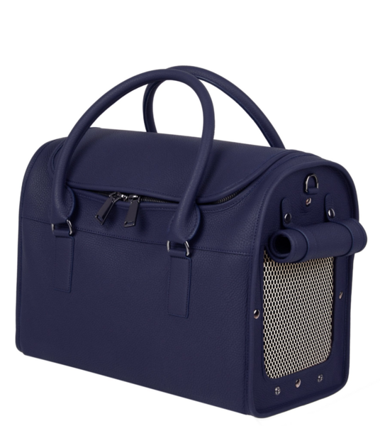 Minimalistic Elegant Carrier