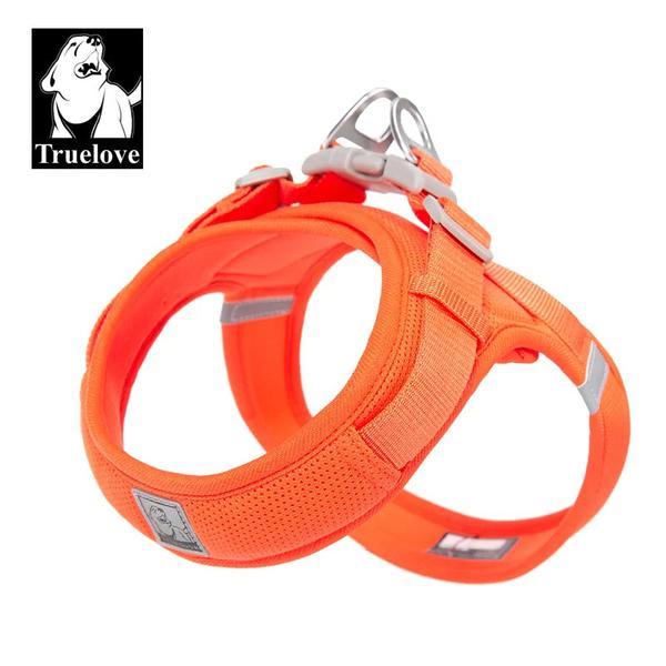 Mesh Harness