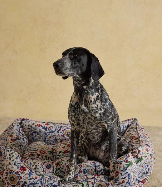 Festival Floral Box Bed