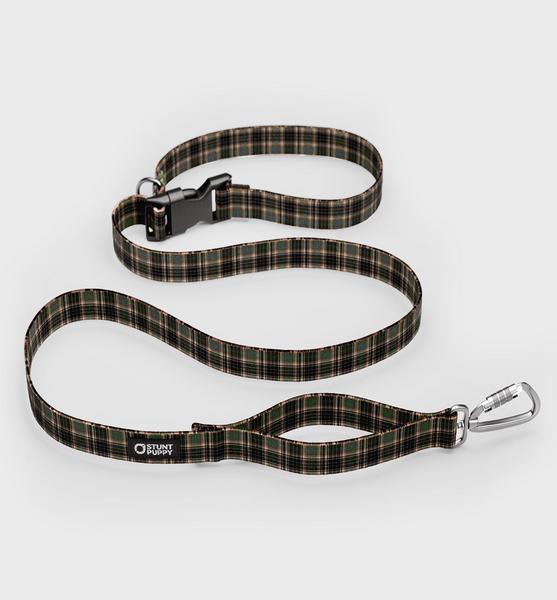 Everyday Leash