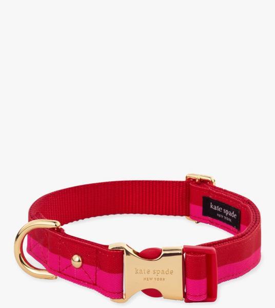 Colorblock Collar