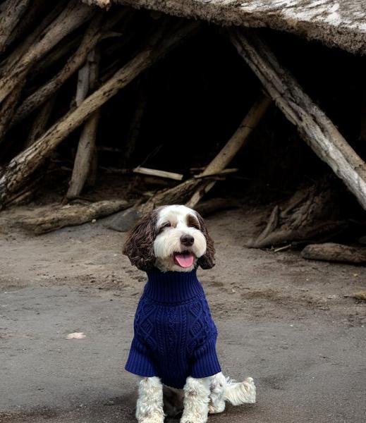 Aran Cotton Jumper