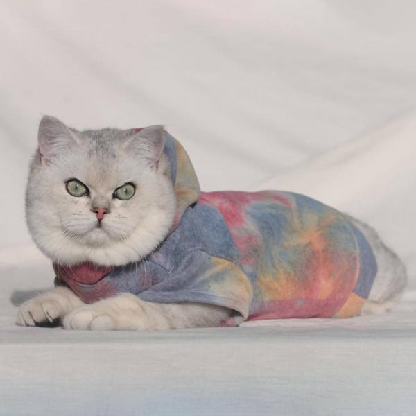 Multicolored Tie Dye Hoodie