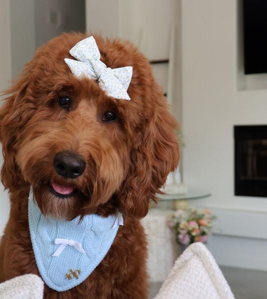 Baby Blue Bandana