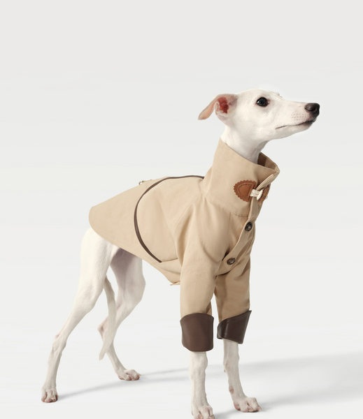 Classic Toggle Trench Coat