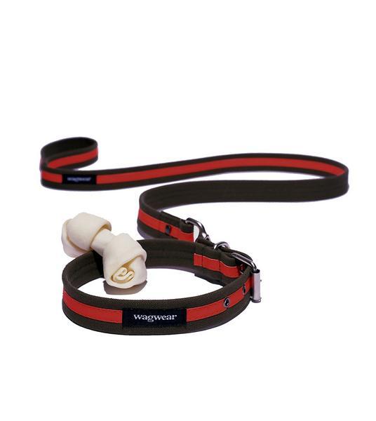Canvas Reflective Collar