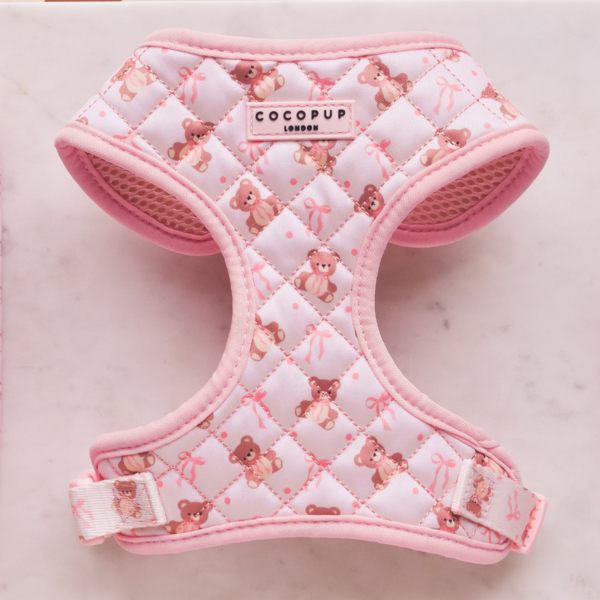 Quilted Teddy Adjustable Neck Harness
