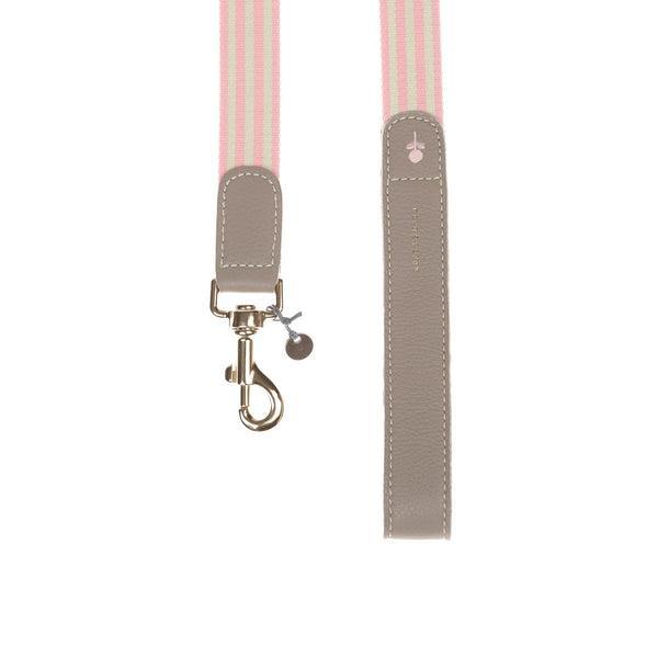 Striped Webbing Lead With Calf Leather Trim And Embroidered Flower Detail