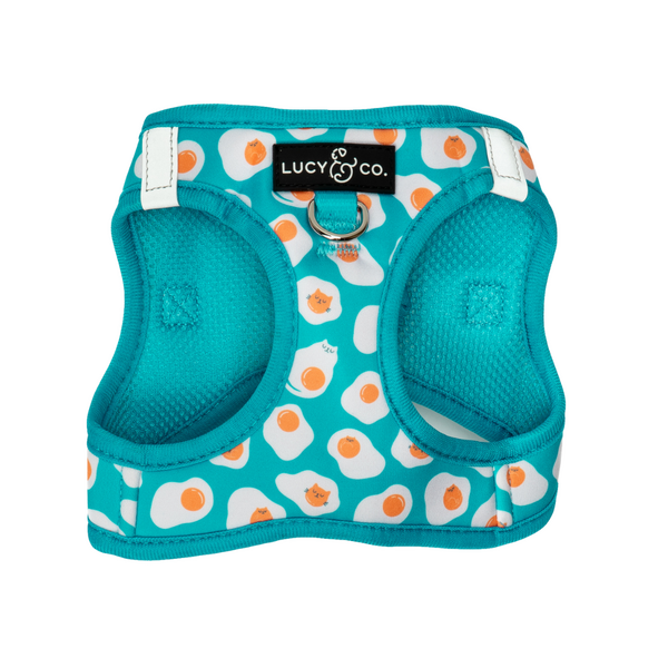 Spring Reversible Step-In Harness