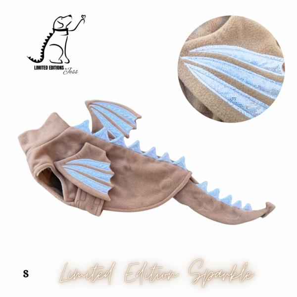 Sparkly Dragon Coat With Wings And Detachable Tail