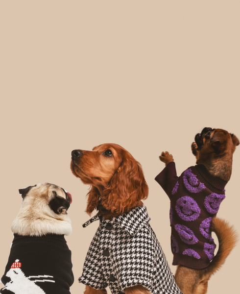 Winter Sweater Bundle