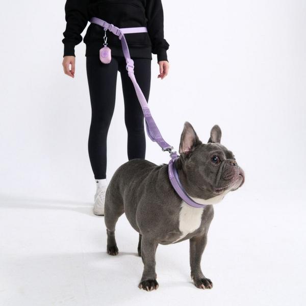 Multipurpose Seatbelt Handsfree Leash and Poop Bag Holder Set