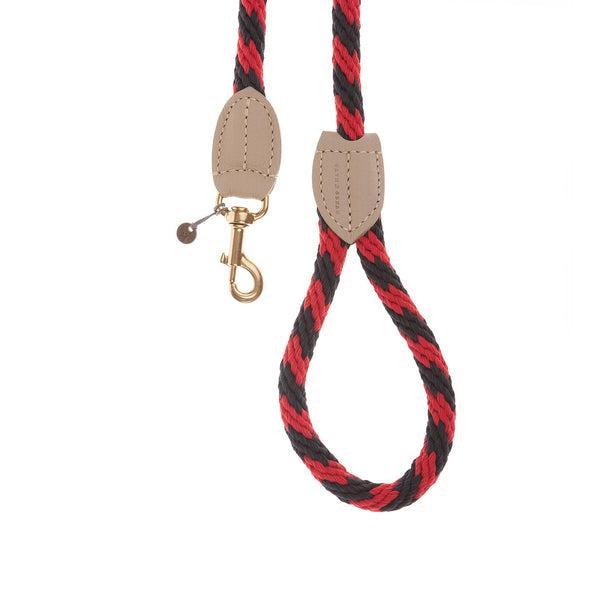 Twisted Colour Rope Lead With Leather Trim