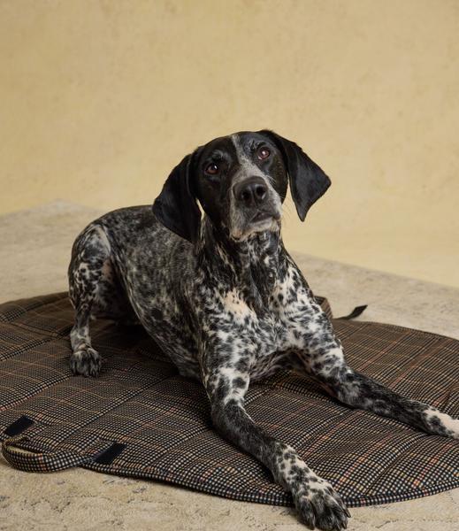 Check Brown Travel Mat