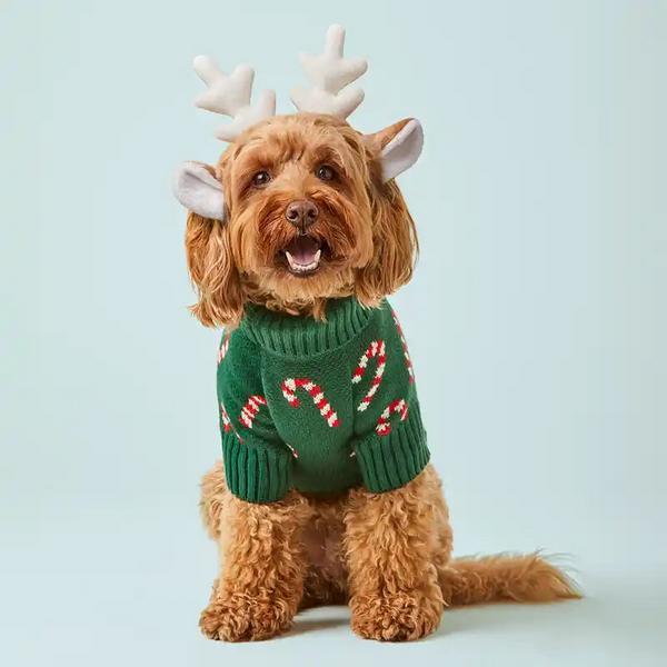 Evergreen Candy Canes Sweater