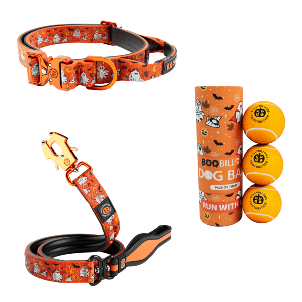 Combat Collar Lead And Tennis Ball Set