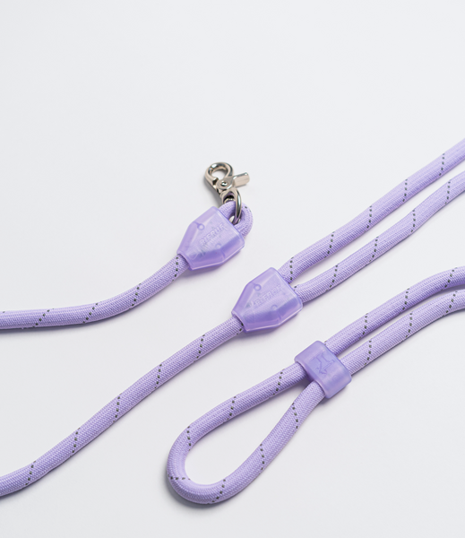 Commuter Leash Taro