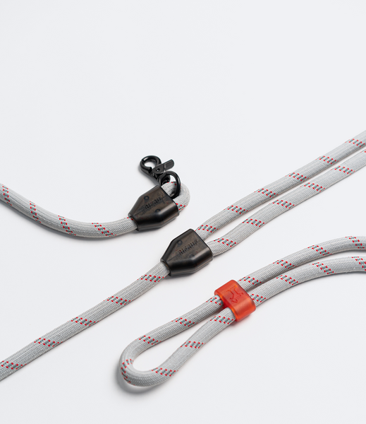 Commuter Leash