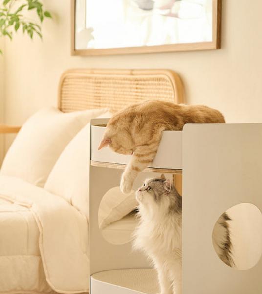 All Day Modern Cat Perch And Side Rack