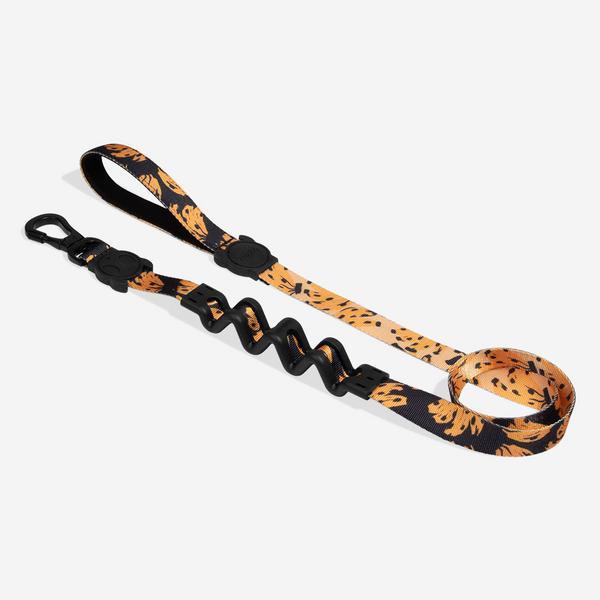 Ruff Leash 2.0 with Shock Absorbing Spring