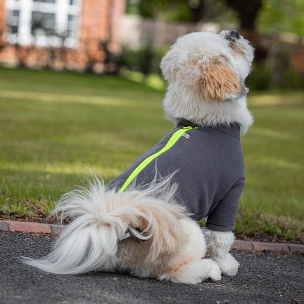 Apso Coat