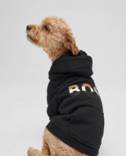 Hooded Sweatshirt With Striped Logo