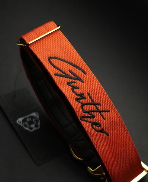 2 inch Tacti Luxe Collar