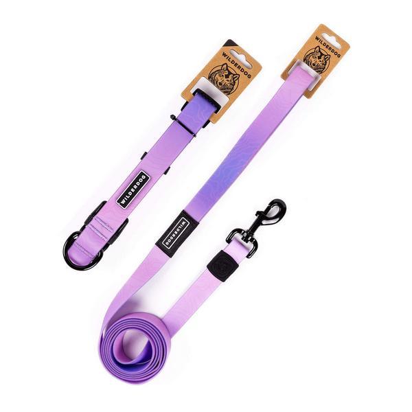 Waterproof Leash and Collar Bundle