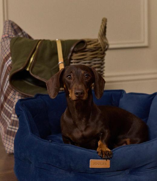Chesterfield Navy Pet Bed