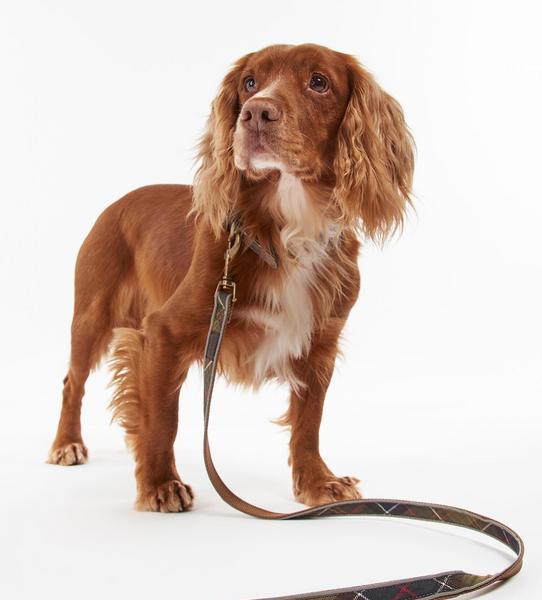 Reflective Tartan Lead