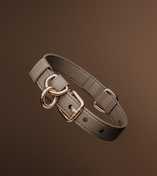 Studio Collar
