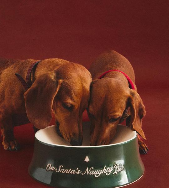 Christmas Stoneware Pet Food Bowl
