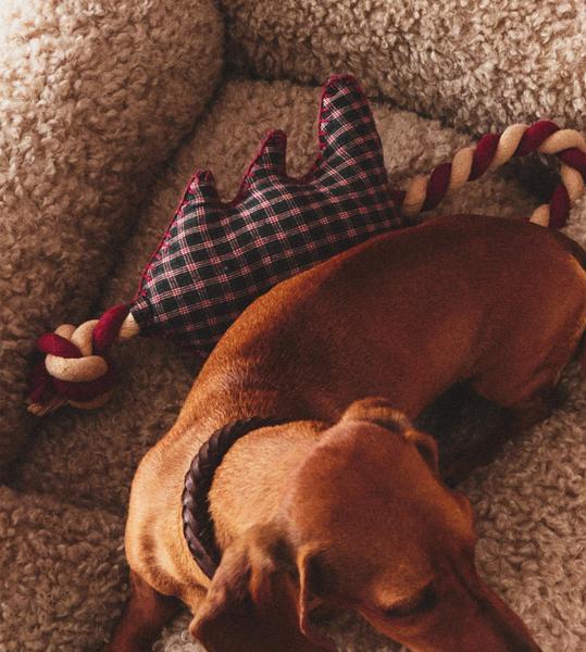 Christmas Tree Pet Toy