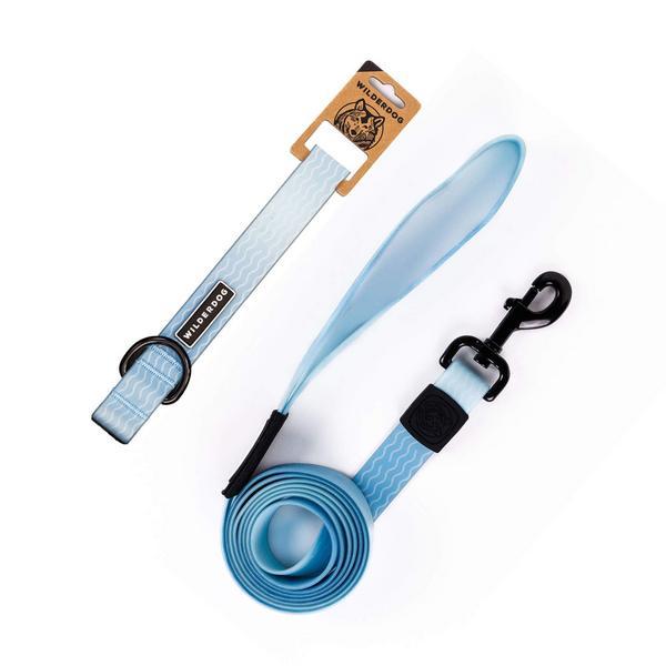 Saltwater Waterproof Leash and Collar Bundle