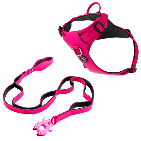 Air Harness And Ladder Combat Lead Bundle Carminerose