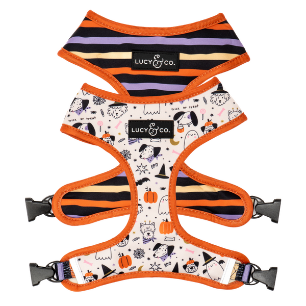 Reversible Neoprene Harness with Adjustable Chest Strap