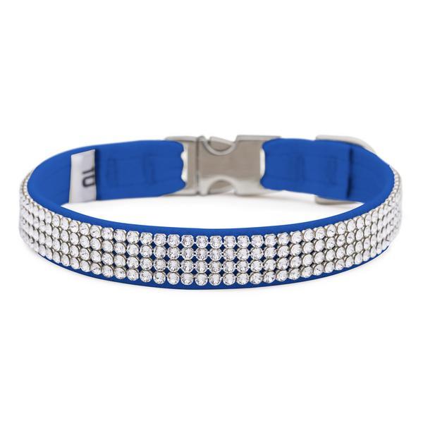 Royal Blue Giltmore Perfect Fit Collar