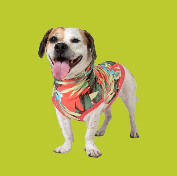 Tropical Flower Print Hoodie