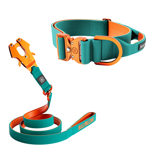 Lighter Combat Collar And Swivel Lead Bundle Turquoise Orange