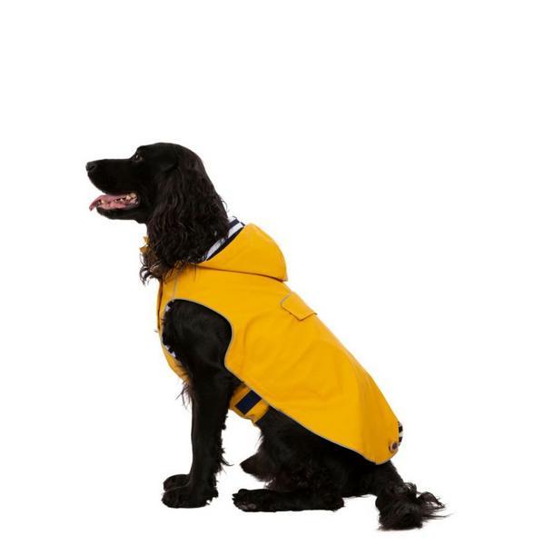 Medium Waterproof Coat With Hood