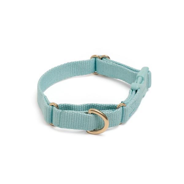 Martingale Training Collar With Safety Buckle
