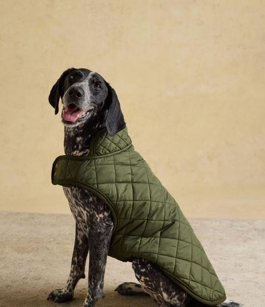 Khaki Green Quilted Coat