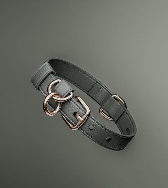 Studio Collar
