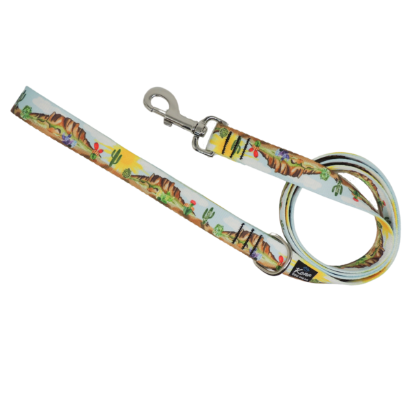 Webbing Leash with Rust-Proof Hardware