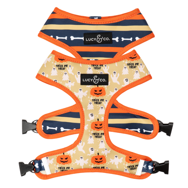 Reversible Neoprene Harness with Two Prints