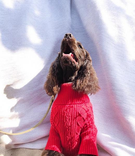 Luxurious Red Aran Jumper