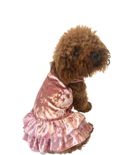 Blush Metallic Velvet Dress