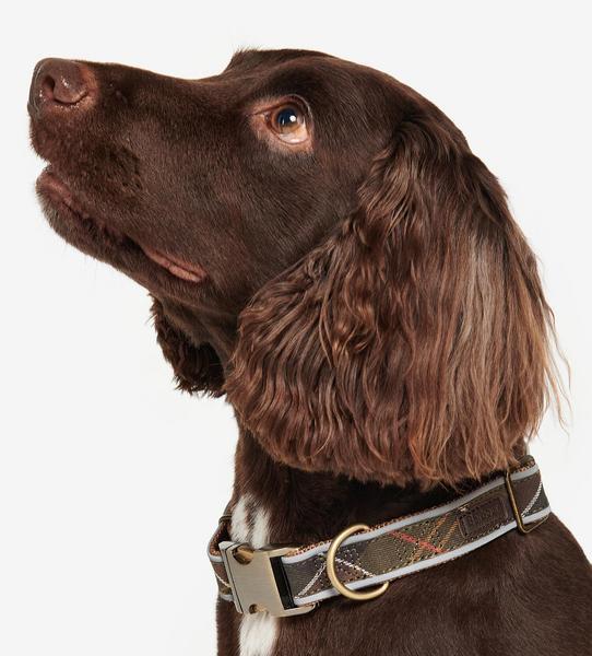 Reflective Tartan Collar