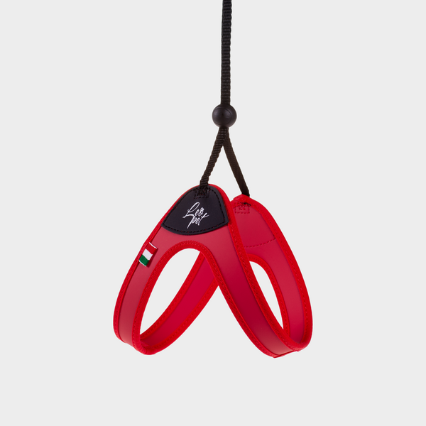 Red PVC and Nylon Harness